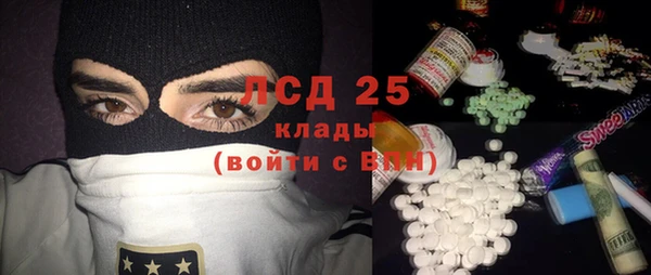 прущие грибы Баксан
