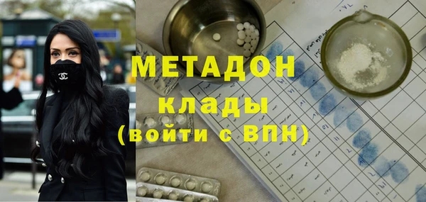 прущие грибы Аркадак
