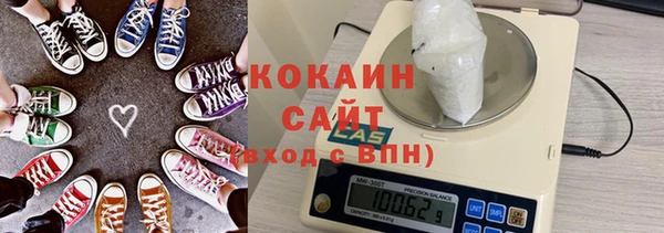 прущие грибы Аркадак