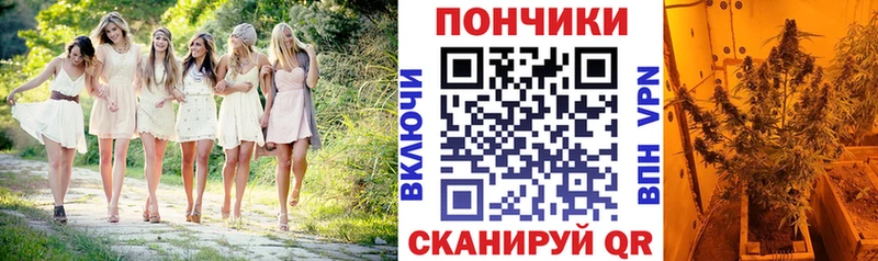 МАРИХУАНА White Widow Волхов